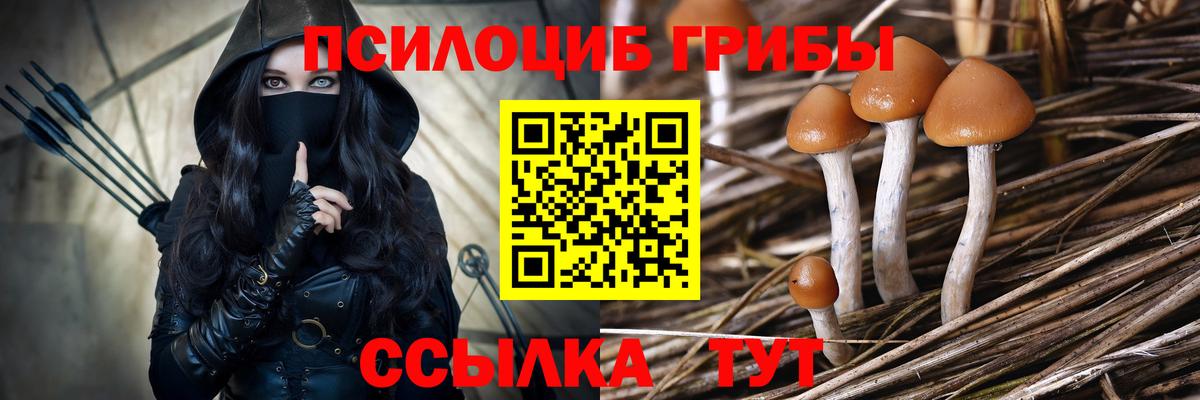 Псилоцибиновые грибы Cubensis  Вход с VPN  Менделеевск  Псилоцибиновые грибы Psilocybine cubensis 